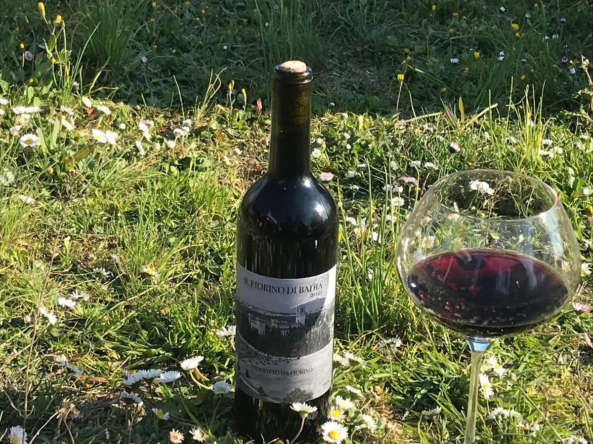 Appartamento Il Fiorino di Badia Badia A Passigano