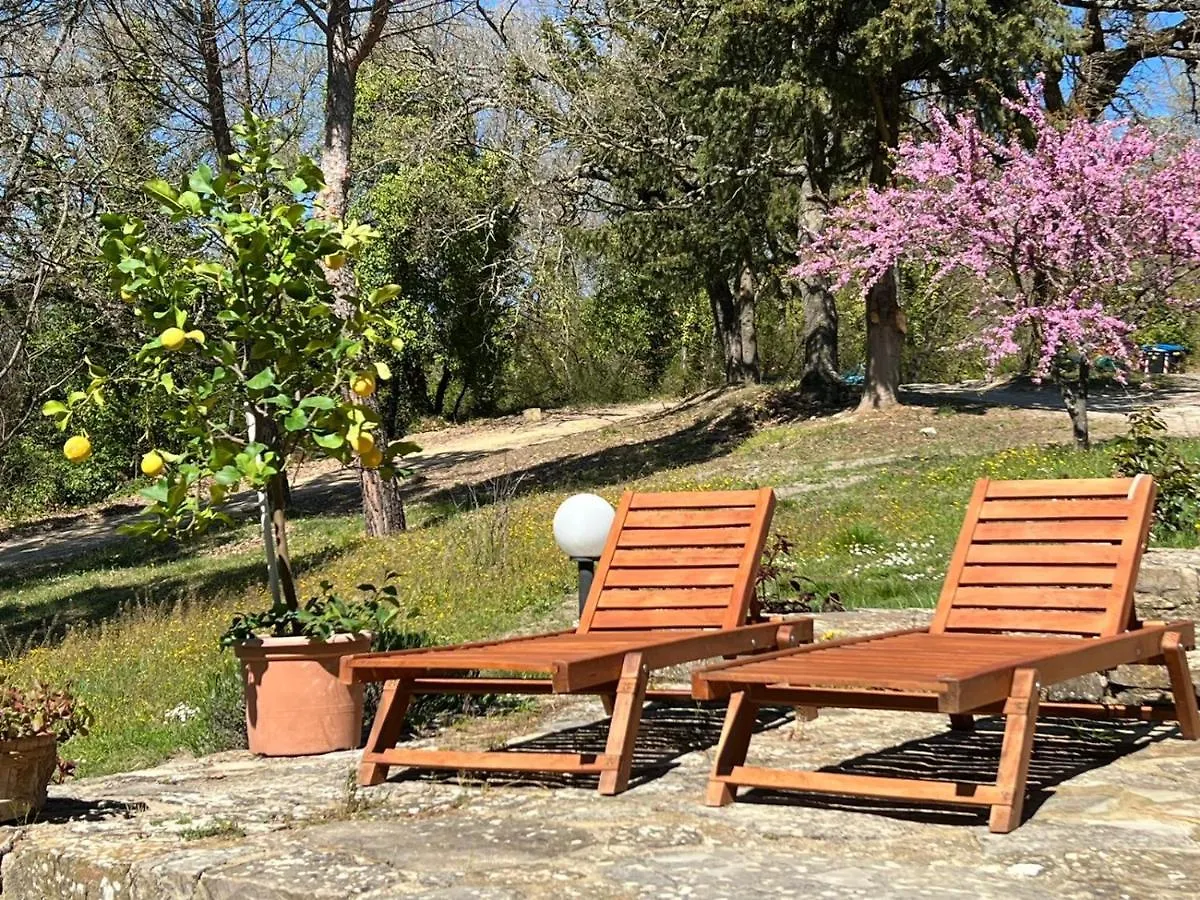 Appartamento Il Fiorino di Badia Badia A Passigano 0*,  Italia