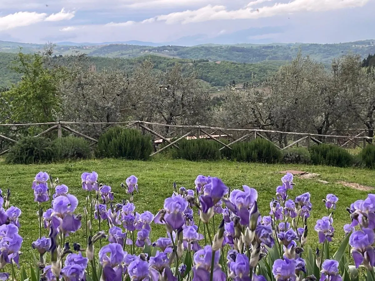 Il Fiorino Di Badia Apartment Badia A Passigano