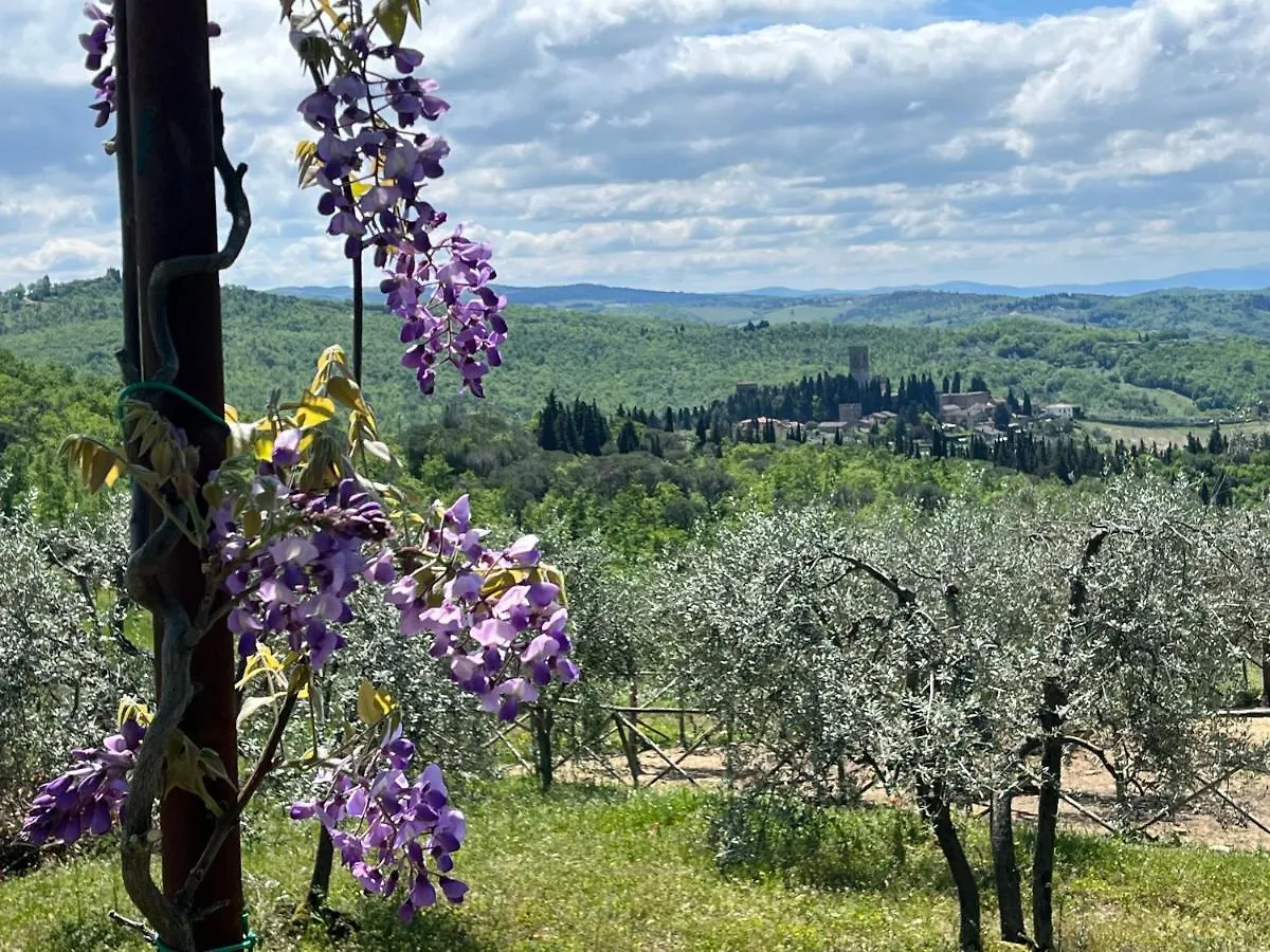 Il Fiorino Di Badia Apartment Badia A Passigano