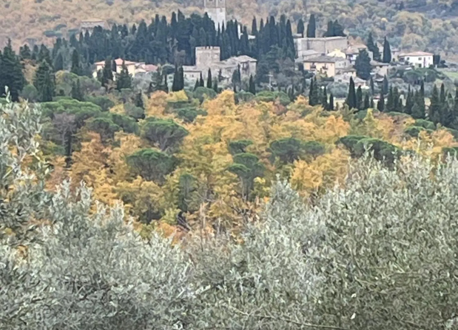 Il Fiorino Di Badia Apartment Badia A Passigano Italy