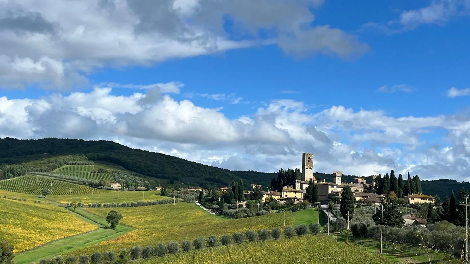 Il Fiorino Di Badia Apartment Badia A Passigano Italy