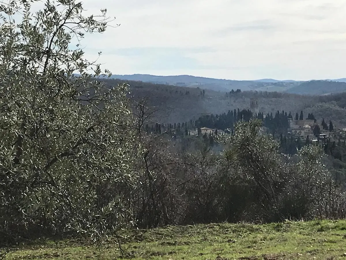 Il Fiorino Di Badia Apartment Badia A Passigano